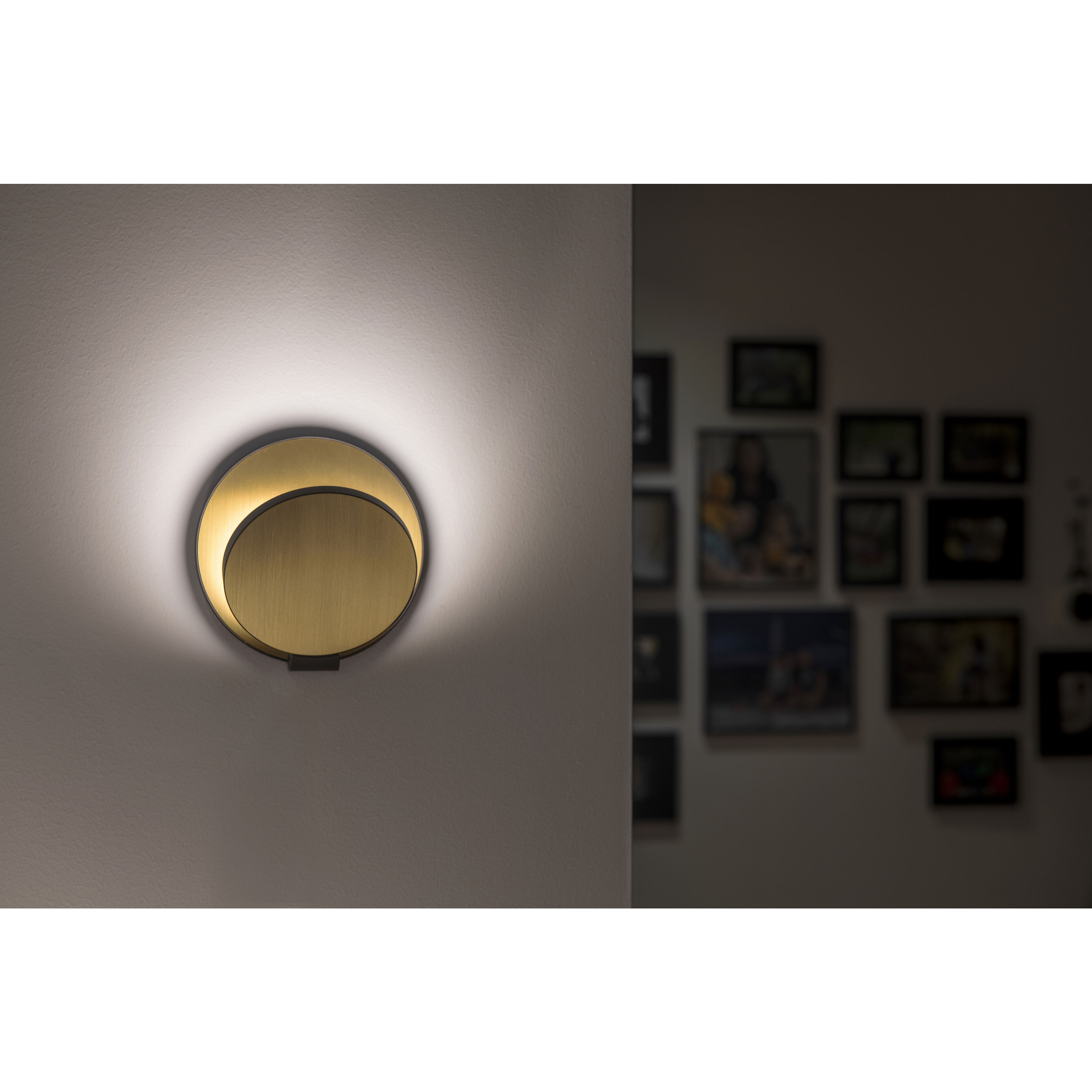 Gravy LED 4 inch Matte White with White Oak Wall Sconce Wall Light, Plug-in